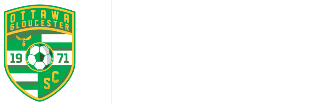 Ottawa Gloucester Hornets logo