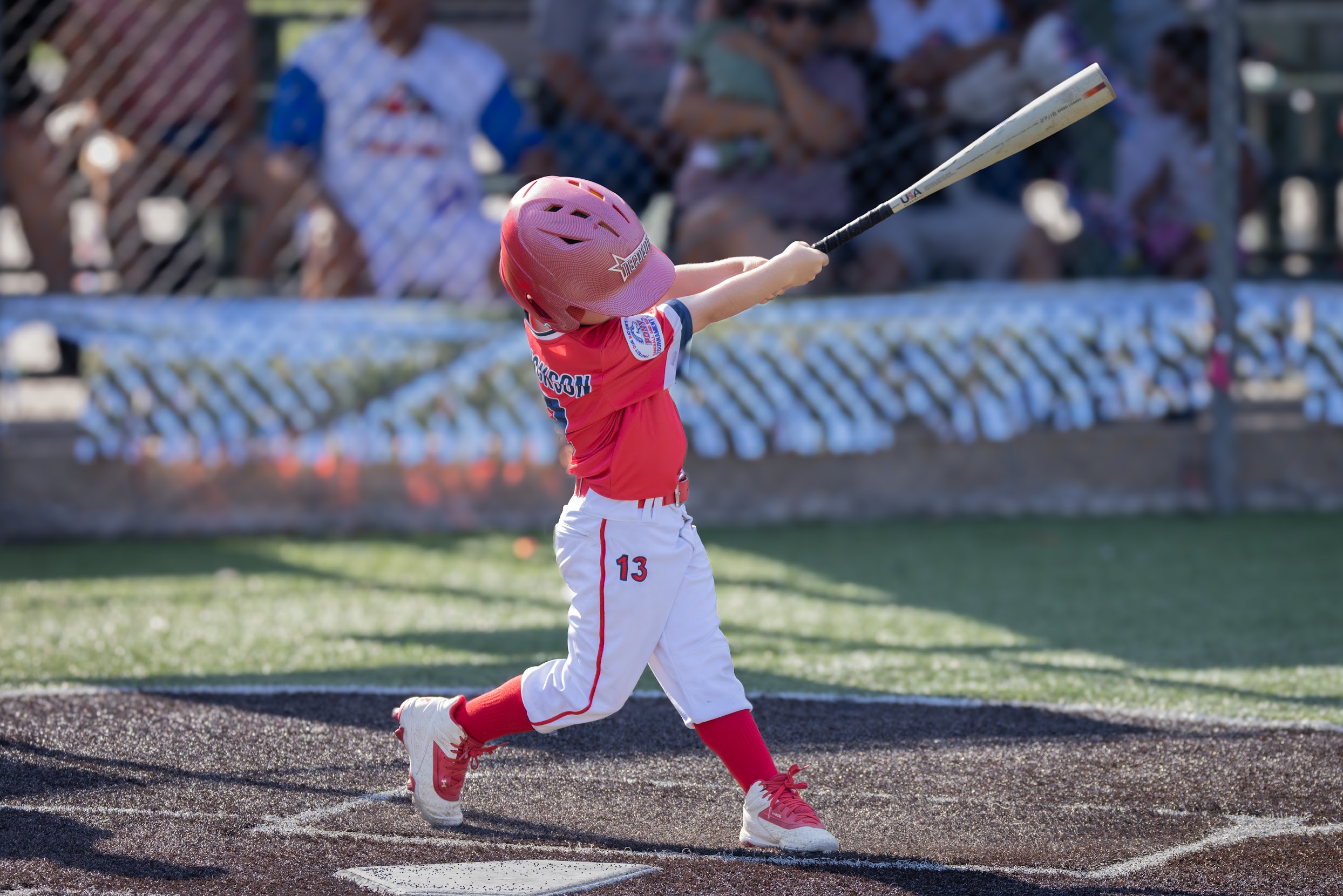 Tecolote Youth Baseball gallery image 11
