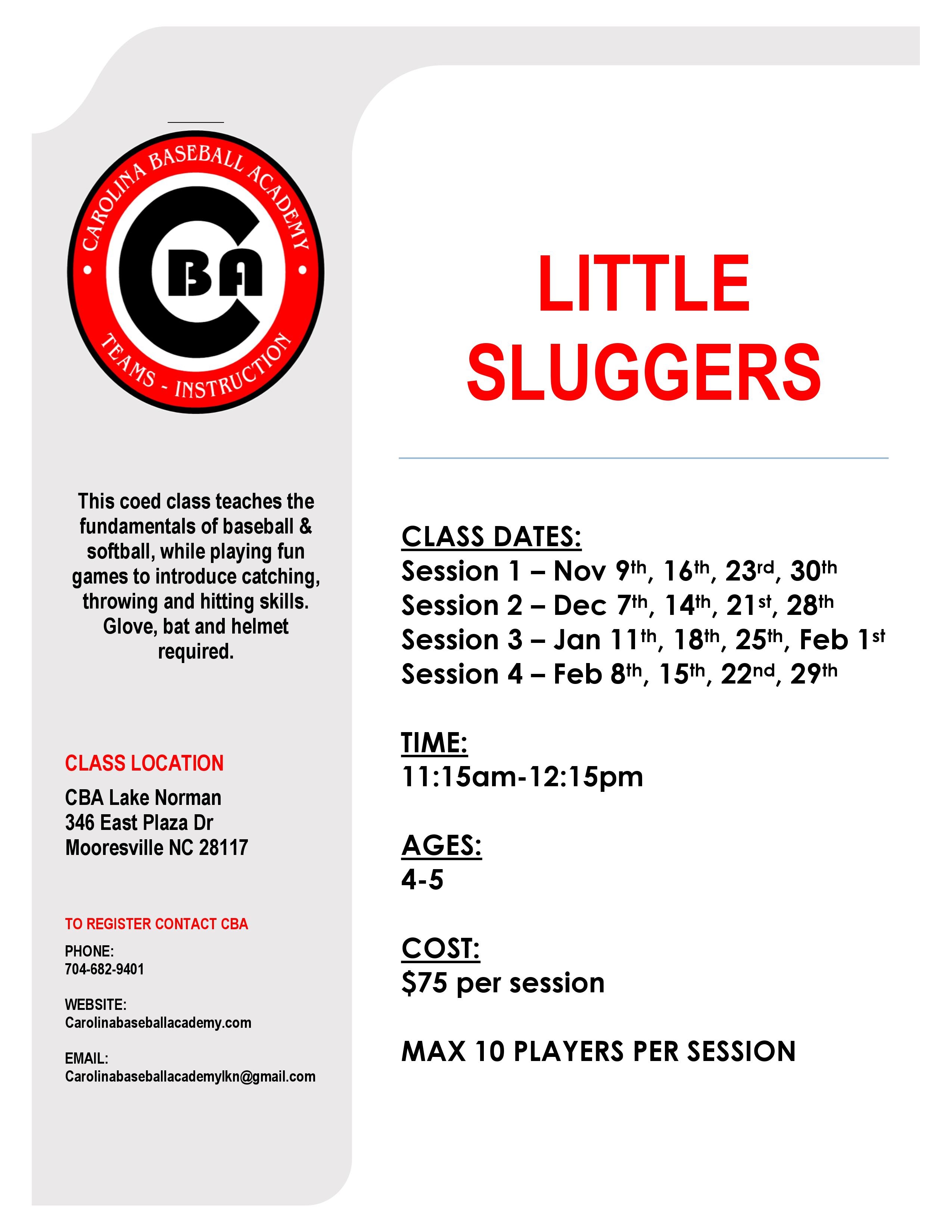 Little Sluggers Ages 4 5