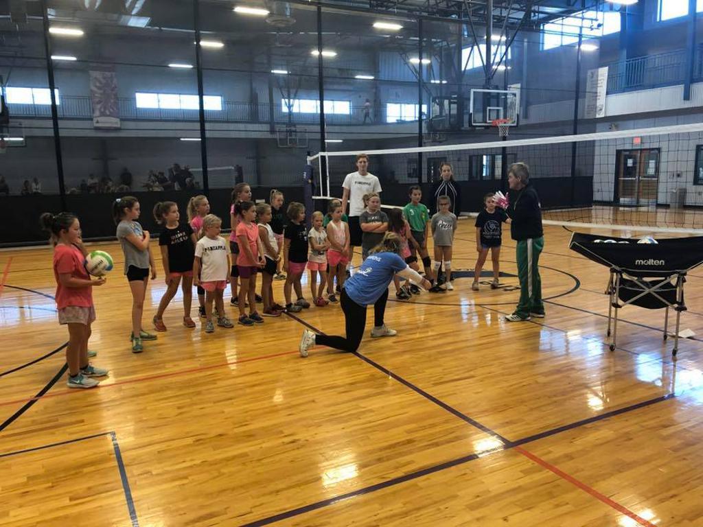 2020 Fall Pineapple Volley Tots/Tikes Team Pineapple Volleyball Club