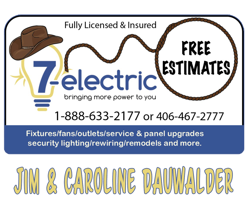 7-Electric Advertisment