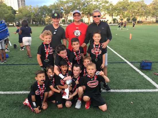 Tampa South Tampa Under The Lights