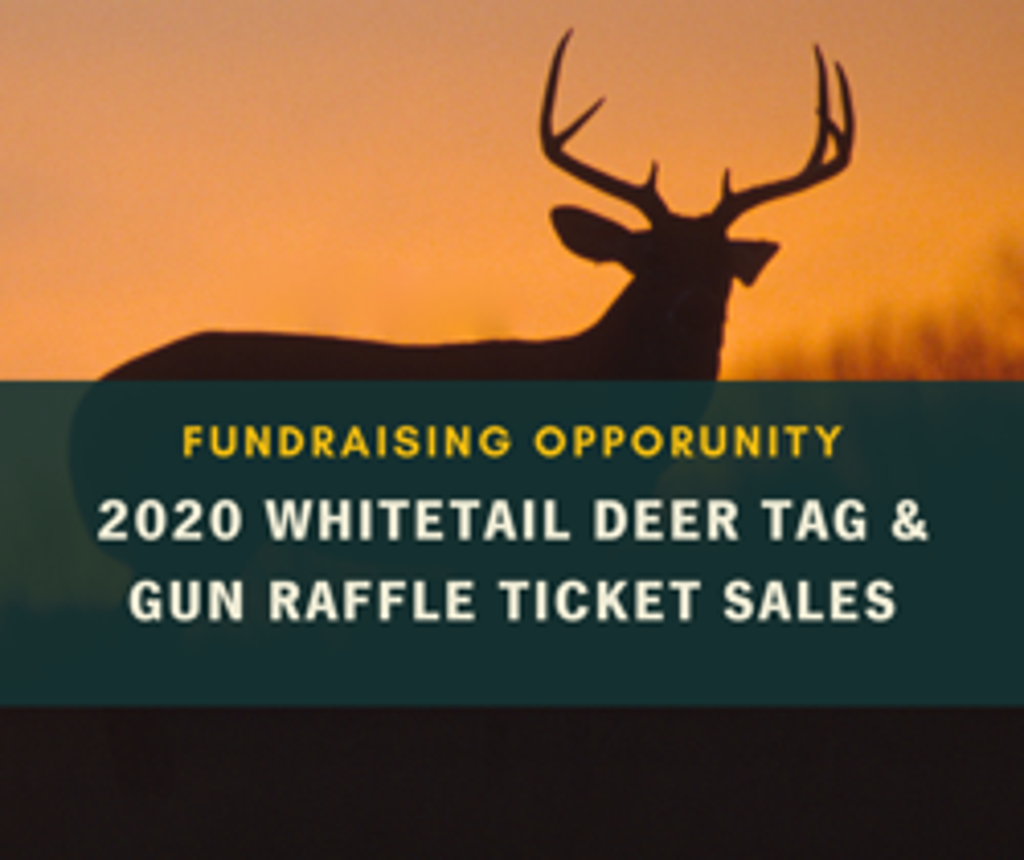 2020 Whitetail Deer Tag Raffle