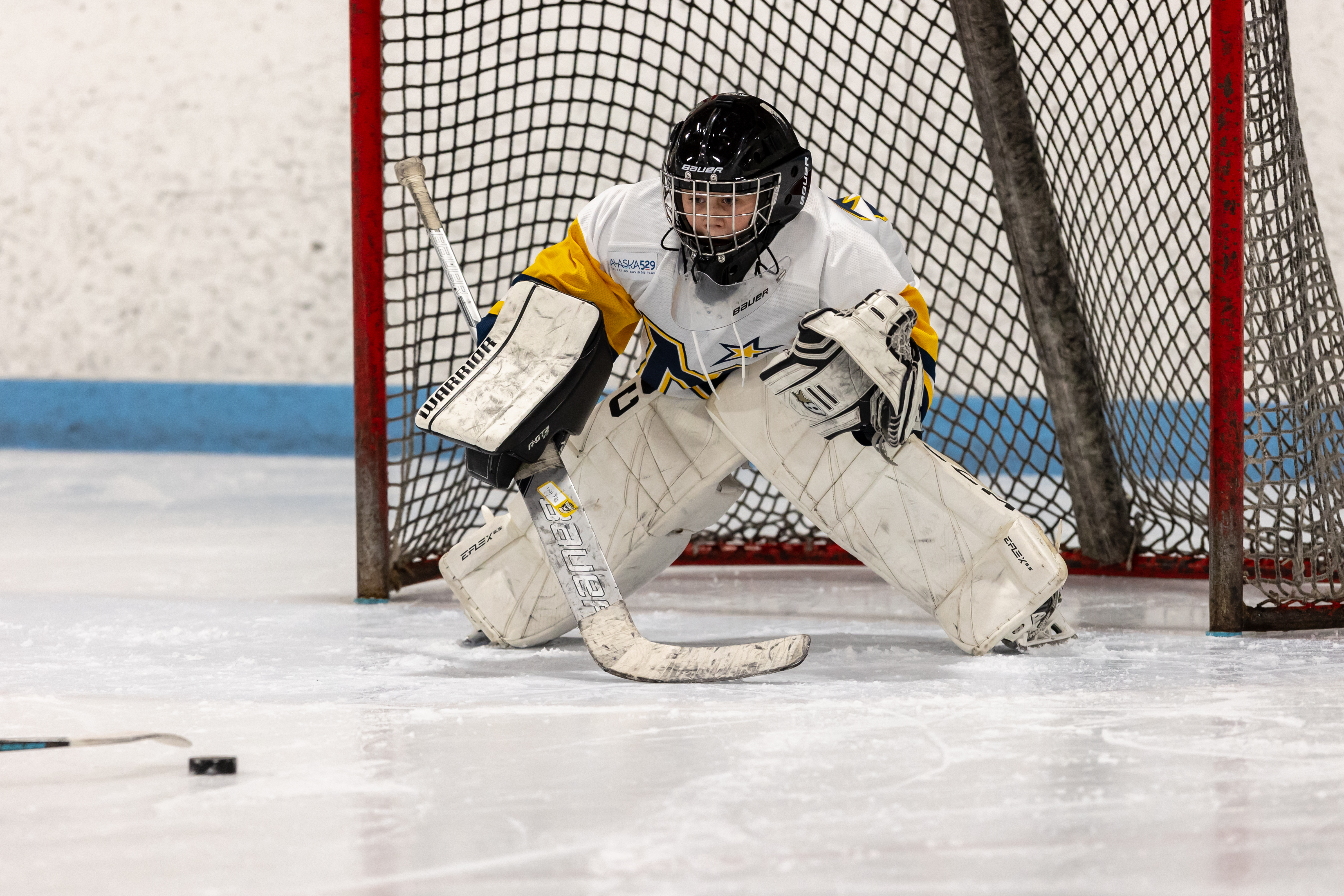 Anchorage Hockey Association