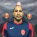 Julien edwards small
