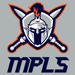 Mplsnewgray small