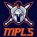 Mplsnewnavy small