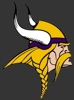 Sponsored by Minnesota Vikings