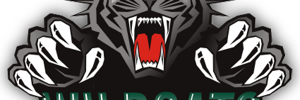 Home Team Logo