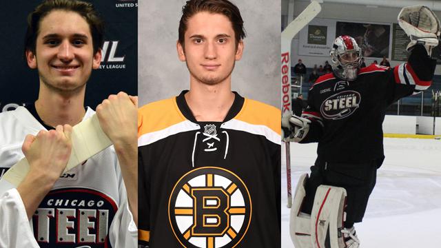 BOSTON BRUINS Signal Metal GOALTENDER DANIEL VLADAR graphic about Boston Bruins Printable Schedule named BOSTON BRUINS Indicator Metallic GOALTENDER DANIEL VLADAR