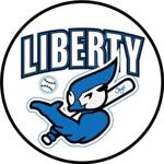 Collage of diverse baseball players in various team uniforms, featuring the individual player names
